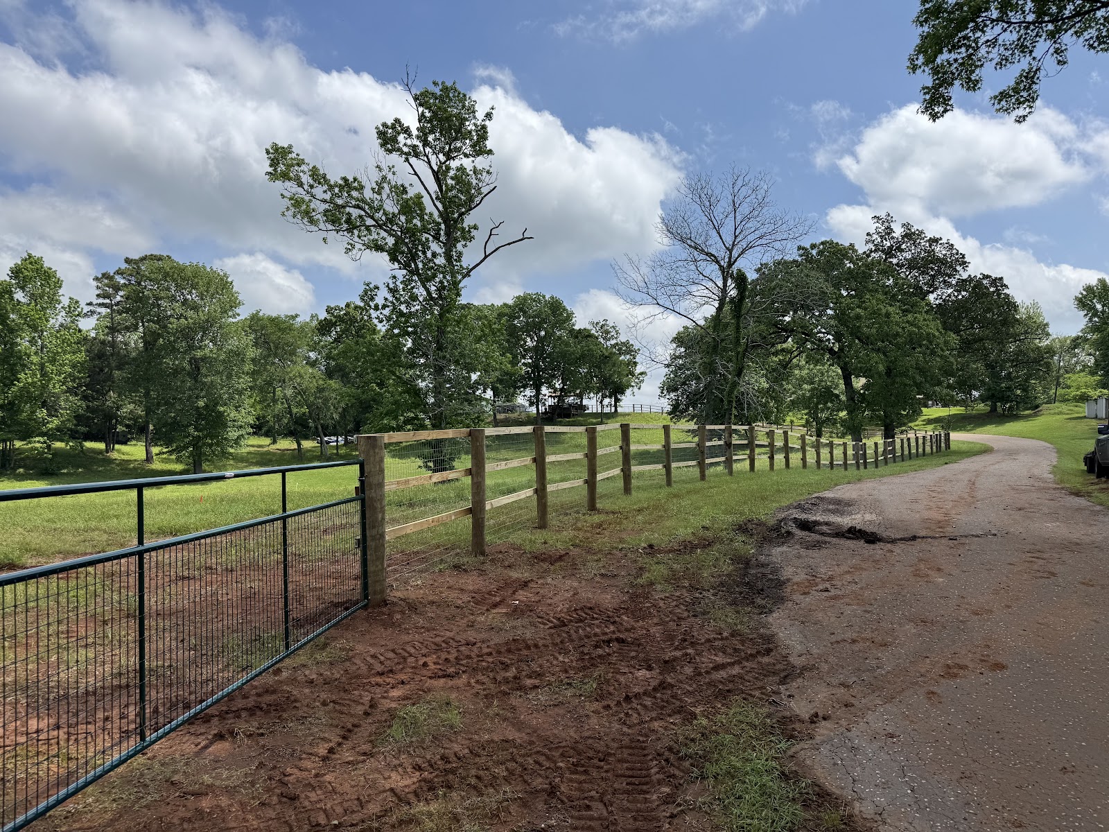 Land clearing project — customer photo by Nancy Castillo
