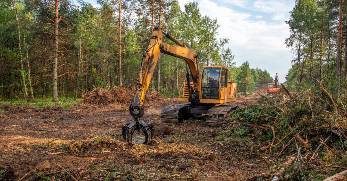 How Much Does Land Clearing Cost in East Texas? (2026 Price Guide) — Republic Remodeling and Construction East Texas