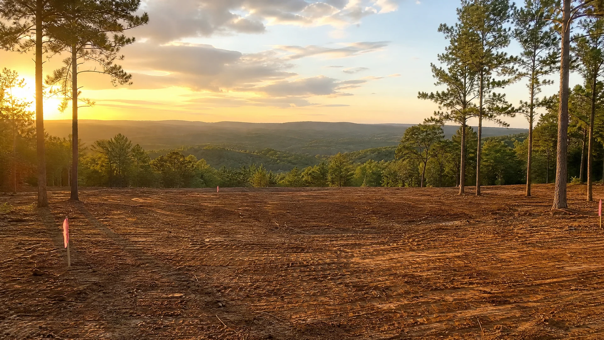Land Clearing Cost in Cherokee County TX: 2026 Pricing Guide