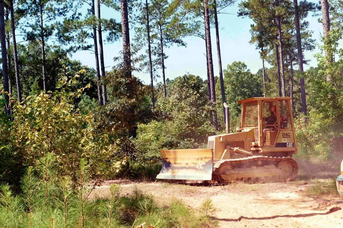 Forestry mulching equipment on an East Texas land clearing project